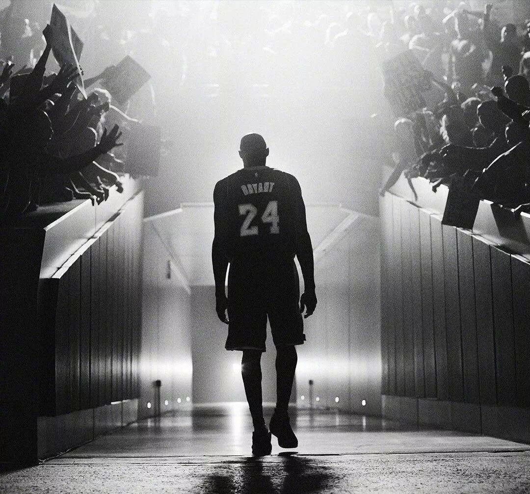 社会关注度 社会关注度